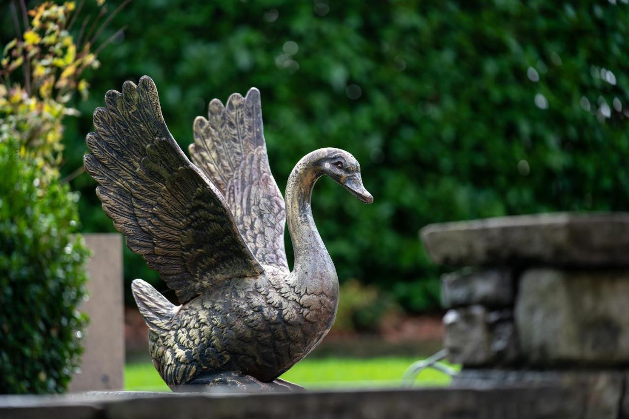 Lanelay Hall Hotel & Spa Hensol Eksteriør billede The Swan